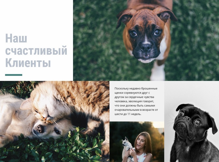 Больница для домашних животных Конструктор сайтов HTML