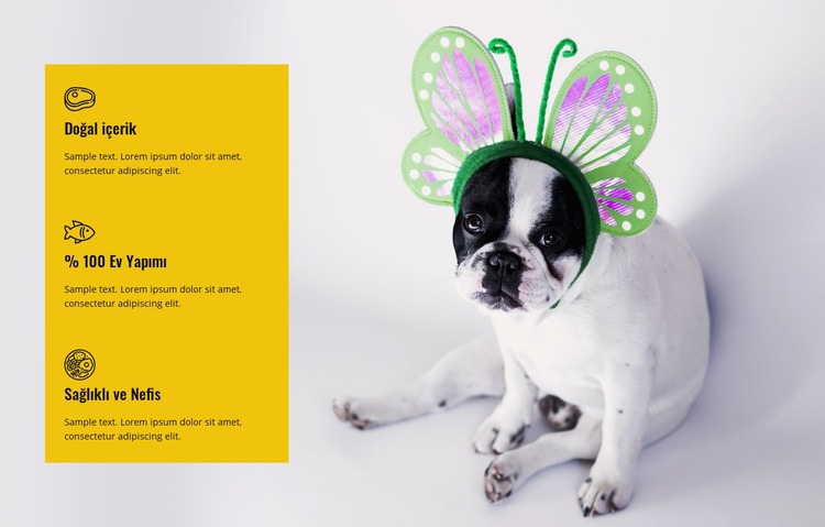Evcil hayvanlar için sağlıklı ve lezzetli yiyecekler HTML5 Şablonu