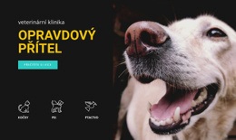 Nemocnice Pro Zvířata - Připravené Téma Webu