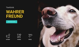 Tierklinik – Fertiges Website-Design