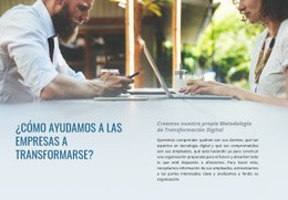 Ayuda A Las Empresas A Transformarse - Creador Del Sitio Web