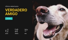 Hospital De Animales - Tema De WordPress Profesional Personalizable