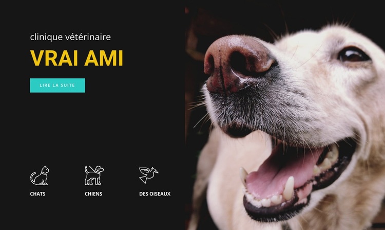 Clinique vétérinaire Créateur de site Web HTML