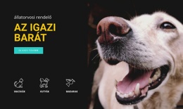 Állatkórház – Kész Webhelytéma