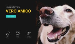 Clinica Veterinaria - Download Del Modello HTML