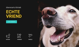 Dierenziekenhuis HTML5- En CSS3-Sjabloon