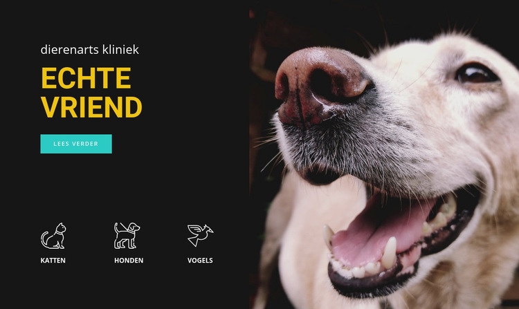 Dierenziekenhuis WordPress-thema