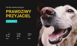 Szpital Dla Zwierzat - Pobranie Szablonu HTML