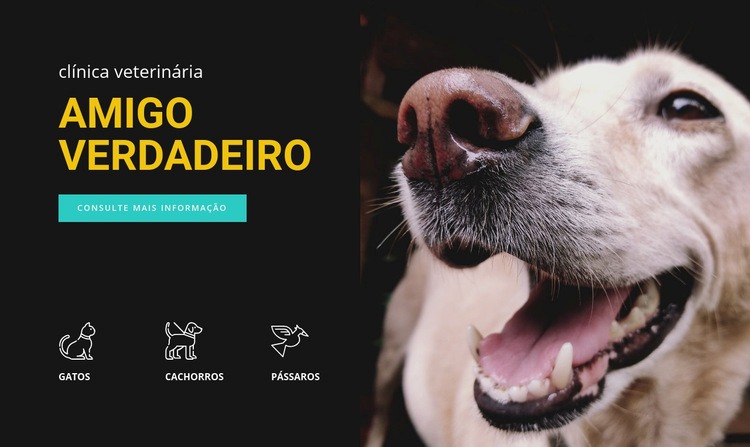 Hospital de animais Design do site