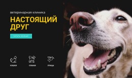 Больница Для Животных — Простой Шаблон Joomla
