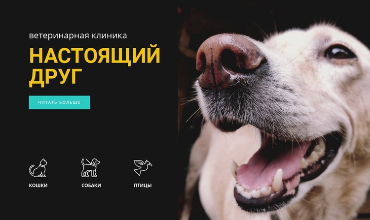 Больница для животных Шаблоны конструктора веб-сайтов