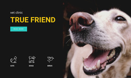 Animal Hospital - Responsive Website Design