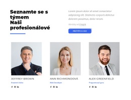 Seznamte Se S Týmem Našich Profesionálů – Šablona WordPress