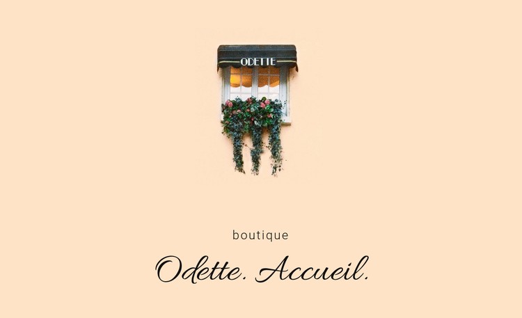 Boutique à domicile Modèle CSS