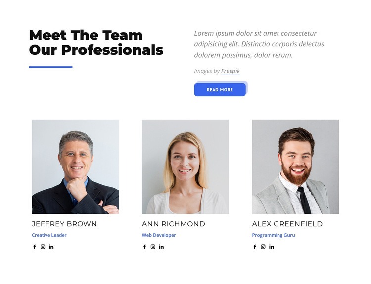 Meet the team our professionals Homepage Design