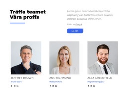 Träffa Teamet Våra Proffs - WordPress-Mall