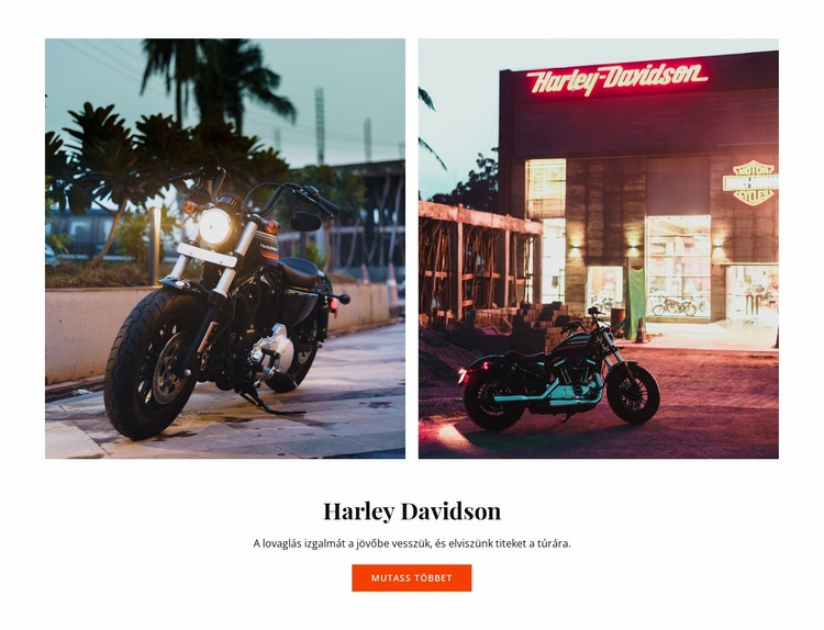 Harley Davidson motorkerékpárok Weboldal sablon
