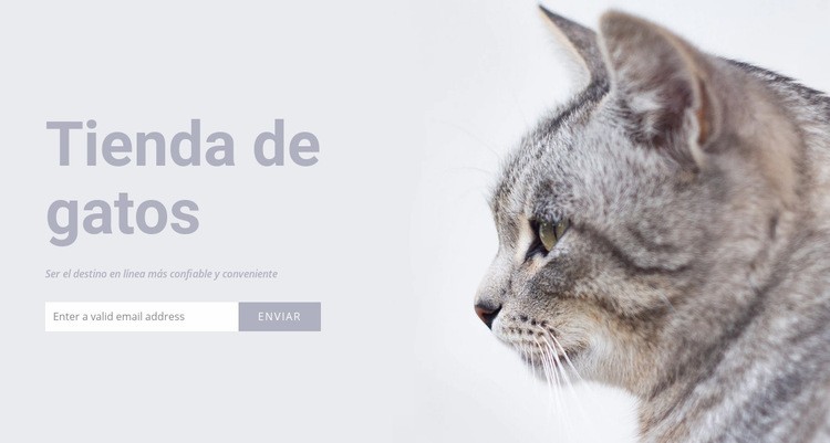 Tienda de gatos Plantillas de creación de sitios web