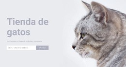 Impresionante Diseño Web Para Tienda De Gatos