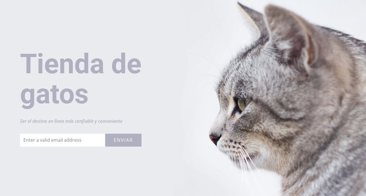 Tienda de gatos Diseño de páginas web