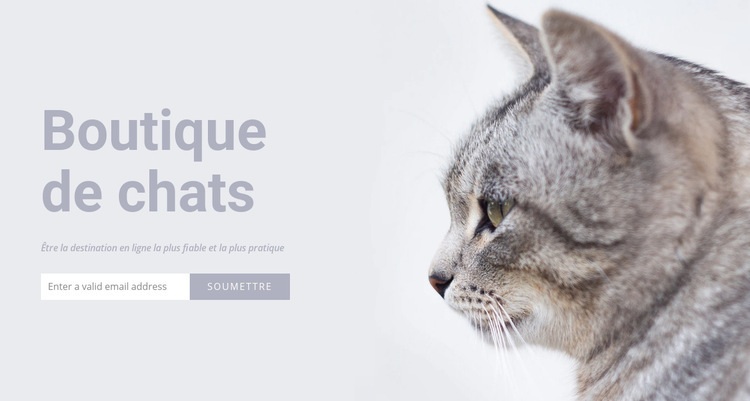 Boutique de chats Maquette de site Web