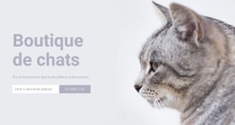 Boutique De Chats - Page De Destination Moderne