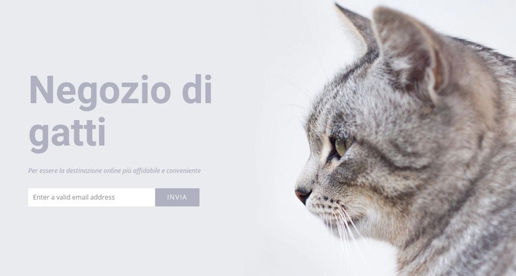Negozio di gatti Costruttore di siti web HTML