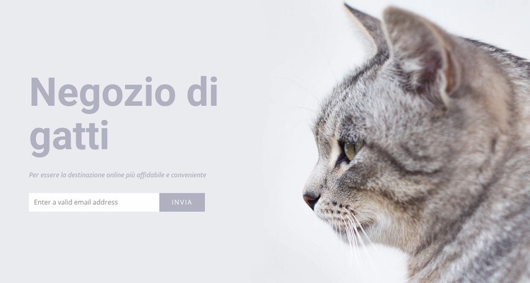 Negozio di gatti Progettazione di siti web