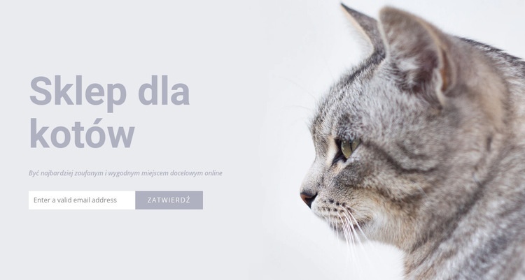 Sklep dla kotów Kreator witryn internetowych HTML