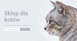 Sklep Dla Kotów - Pobranie Szablonu HTML
