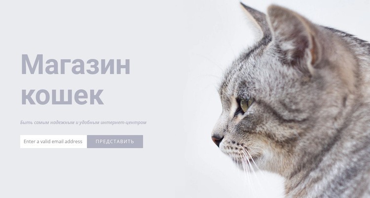 Магазин кошек Дизайн сайта