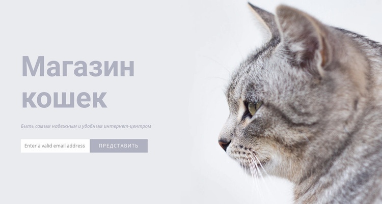Магазин кошек WordPress тема