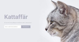 Fantastisk Webbdesign För Kattaffär