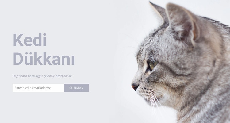 Kedi dükkanı Web Sitesi Mockup'ı