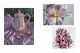 Galerie Mit Blumen - HTML5-Seitenvorlage
