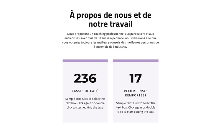 Le résultat de notre travail Thème WordPress