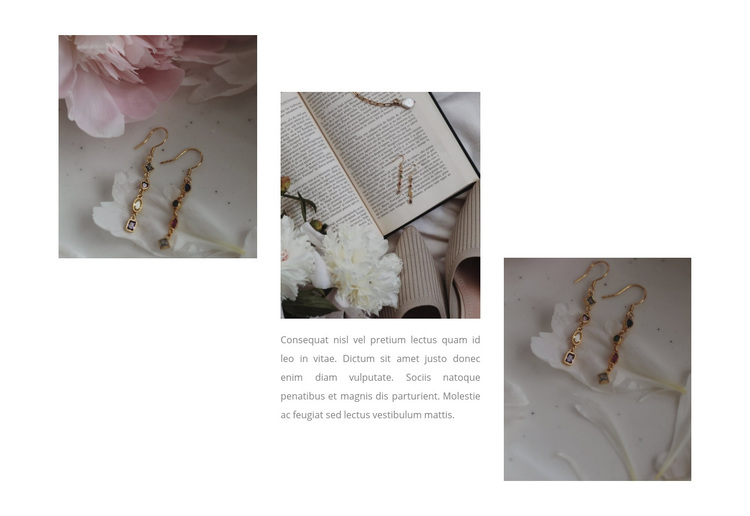 Collection exclusive de bijouterie Thème WordPress