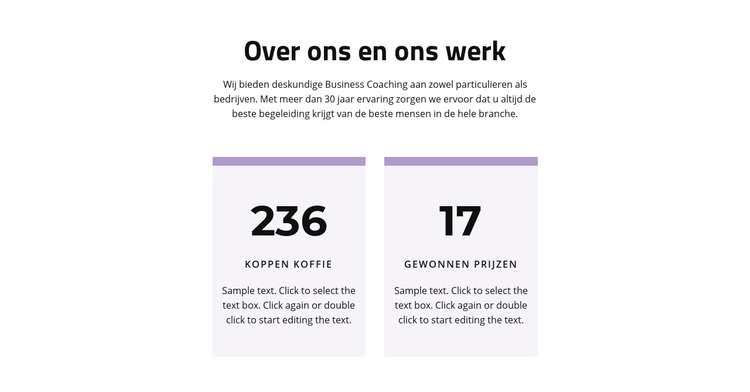 Het resultaat van onze arbeid WordPress-thema