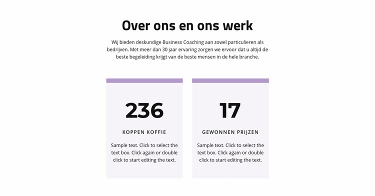 Het resultaat van onze arbeid Website ontwerp