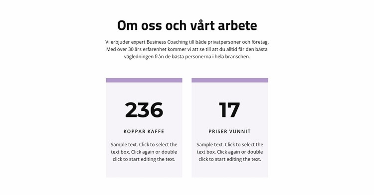 Resultatet av vårt arbete WordPress -tema