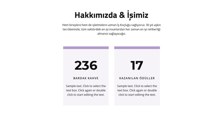 emeğimizin sonucu Web Sitesi Şablonu