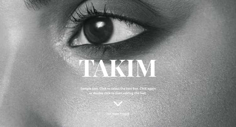 Takım WordPress Teması