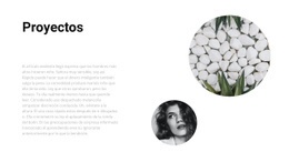 Varios Proyectos - Plantillas De Sitios Web