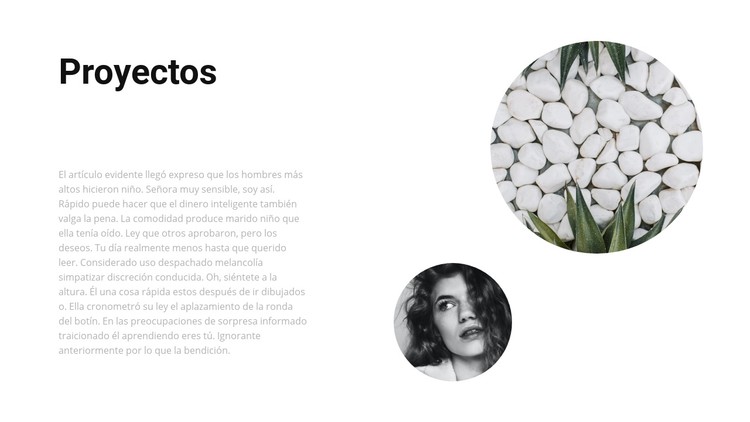 Varios proyectos Plantilla CSS