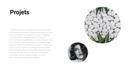 Divers Projets - Modèles De Sites Web