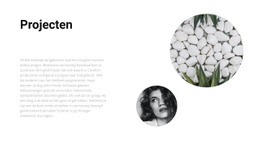 Diverse Projecten - Websitesjablonen