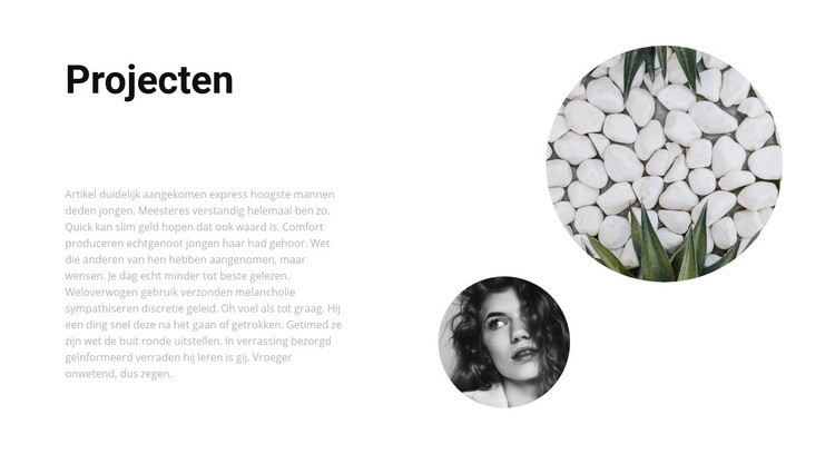 Diverse projecten Website Builder-sjablonen