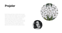 Herhangi Bir Cihaz Için WordPress Teması Çeşitli Projeler