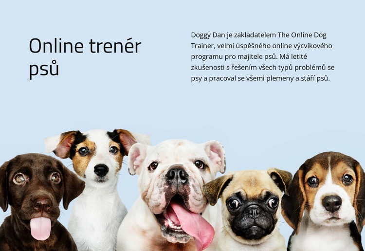 Online trenér psů Téma WordPress