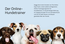 Online Hundetrainer – Responsive Einseitenvorlage